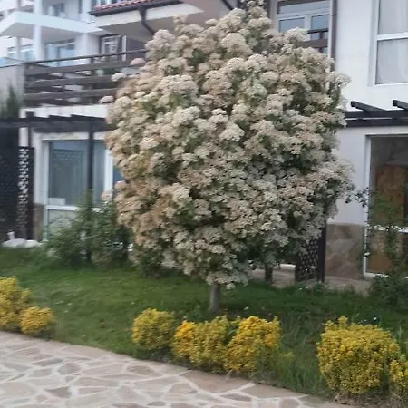 Hill *